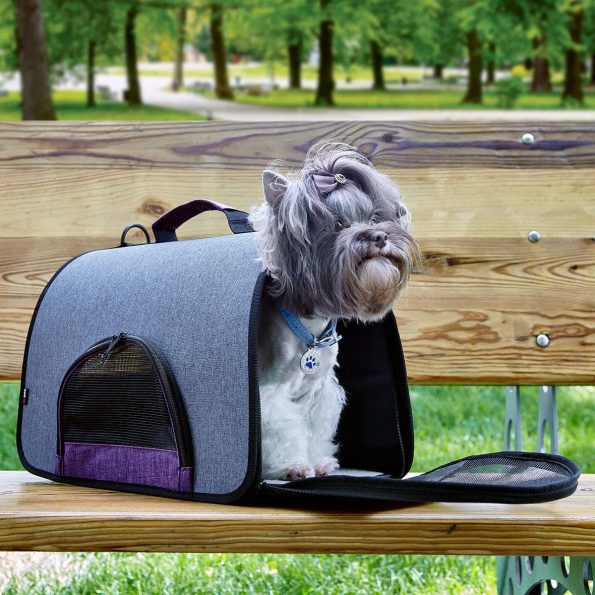 purple-dog_carrier